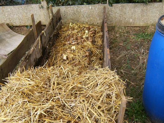 la paille qui sert à recouvrir la couche tourbe et terreau, leur petite écharpe