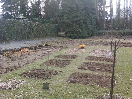 Potager 1202.jpg
