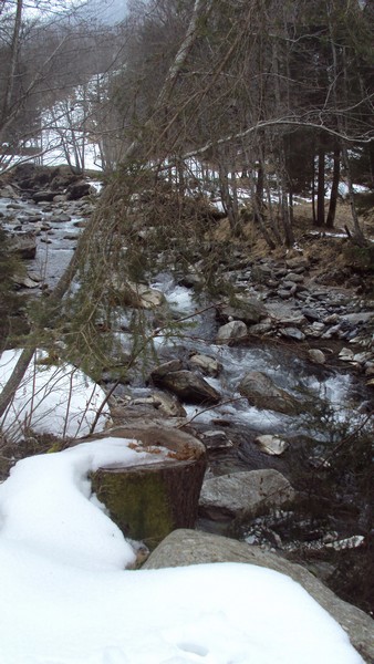 DSC03479.JPG