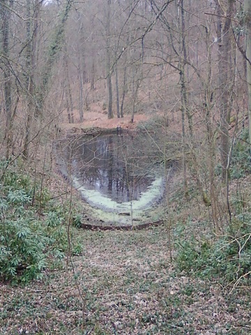 Etang.jpg