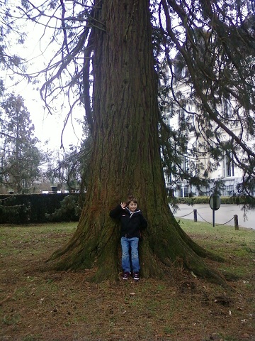 Sequoia Eliot.jpg