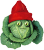 Avatar du membre